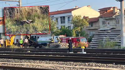 Kargalar Yangın Çıkardı: Hızlı Müdahale İle Söndürüldü