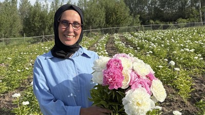 Altın Çiçeğin Hasadı Başladı: Hobi Olarak Başladı, Şimdi 81 İle Satıyor! Bir Kere Eken Köşeyi Dönüyor