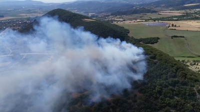 Tokat'ta Orman Yangını! 20 Dönüm Küle Döndü