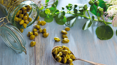 Sofraların Yeni Şahı Oldu: Kanamayı Durduruyor, Kan Şekerini Dengeliyor, Kemikleri Çelik Gibi Yapıyor