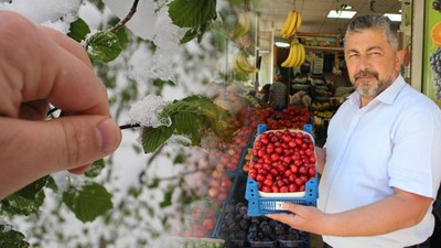 Zirai Don Vurdu, Ağaçlarda Meyve Kalmadı! Hem Alan Hem Satan Sıkıntıda; Kilosu 50 Liradan 500 Liraya Fırladı...