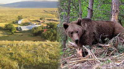 Ardahan'da Korkunç Olay! 20 Yaşındaki Engelli Genç Ayı Saldırısında Can Verdi