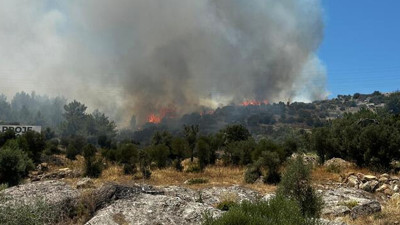 Muğla Bodrum'da Makilik Yangını