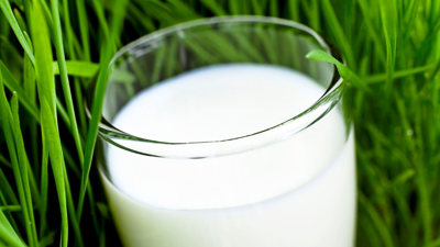 40 Yıllık Bahçıvanın Sırrı Ortaya Çıktı! Süte Karıştırıp Çiçeklere Döküyor: Hiç Kayıp Vermiyor