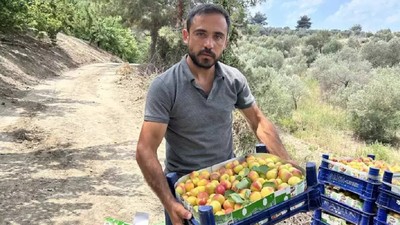 Arsuz'da Bereketli Hasat Başladı! Kilosu 50 Liradan Satılıyor