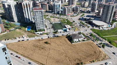 Milyon Dolarlık Gökdelenlerin Ortasında Hasat Başladı! Görenler Gözlerine İnanamıyor, Dönüp Bir Daha Bakıyor