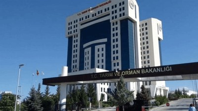 Sakarya'da Sayılan Macunda İlaç Etken Maddesi