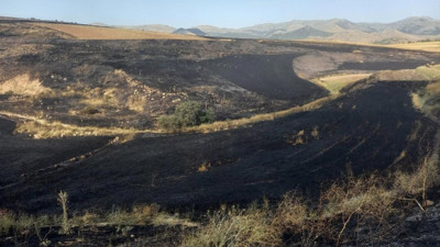 Afyonkarahisar’da 200 Dekar Arpa Tarlası Küle Döndü