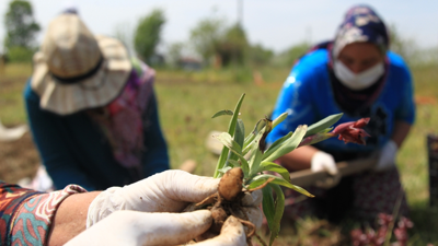 Ailece Başladılar, 2 Yılda Köşeyi Döndüler: Getirisi Oldukça İyi, Herkese Tavsiye Ederim