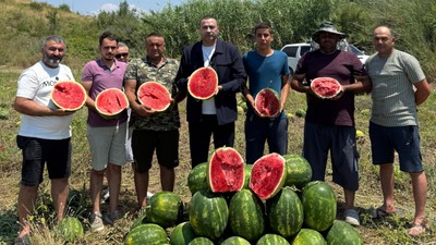 Karpuz Tarlasında Çığlık: CHP'li Kaya'dan Tarım Bakanı'na 'Sahaya İn' Çağrısı