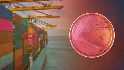 Bir Ayda İkinci Ölümcül Alarm! Türkiye’nin Kabusu Sınıra Sıçradı… Tüm Sevkiyata El Konuldu