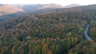 Zonguldak’ta Ormanlara Giriş 3 Ay Süreyle Yasaklandı