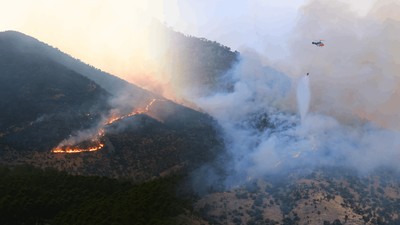 Kahramanmaraş'taki Orman Yangını İki Gündür Sürüyor