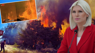 Sakarya'da Başlayan Yangın Bilecik'e Sıçradı! Belediye Başkanı Melek Mızrak Subaşı'dan Hava Aracı Çağrısı