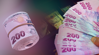 Beyin Göçünü Tersine Çevirecek Dev Hamle! Türkiye'de Bu Kişilere Altın Fırsat! Aylık 186 Bin Lira Maaş Verilecek