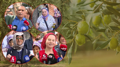 Zeytin Emekçilerden Meclis Önünde Yürek Dağlayan İsyan: 'Bir Kilo Altına Bir Avuç Toprağımı Değişmem'