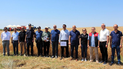 Kırklareli'nde Yerli ve Milli Buğday Hasadı 