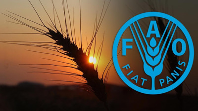 Türkiye, FAO Konsey Üyeliğine Seçildi