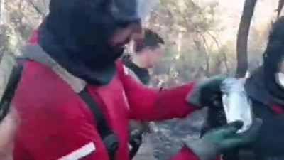 Yangın Bölgesinde Canlı Balık Bulundu! İtfaiye Ekipleri Seferber Oldu