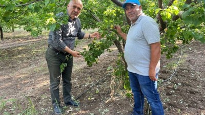 Eksi 11 Derecede 2 Milyonluk Mahsulünü Bu Basit Yöntemle Kurtardı