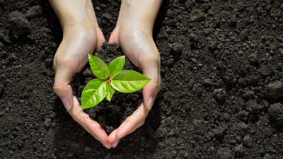 Temmuz’da Ne Ekilir? Hasat Etmekten Yorulacaksınız