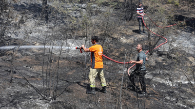 Kastamonu'da Tarladan Ormana Sıçrayan Yangın Kontrol Altına Alındı