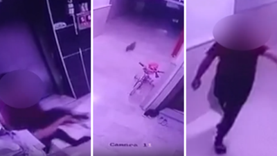 Sosyal Medya Ayakta: Konya'da Hamile Kediye Şiddet Kamerada