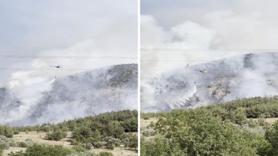 Bilecik'te Orman Yangını: Müdahale Sürüyor