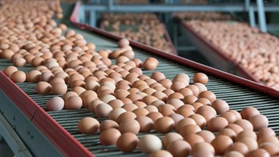Yumurta İhracatında Yeni Dönem! Resmi Gazete'de Yayımladı