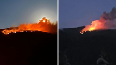 Bilecik ve Çankırı'da Orman Yangını