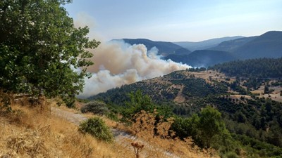 Bursa ile Balıkesir Arasında Orman Yangını