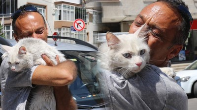 22 Günlük Hasret Bitti: Sokak Sokak Aradığı Kedisine Kavuştu! Sevinç Gözyaşları Döktü