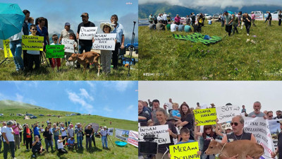 Yaylada Adalet Arayışı: Altın Arayanlara Karşı Trabzon Ayakta! 'Kimseye Verecek Bir Avuç Toprağımız Yok’