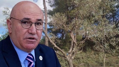 Mahmut Tanal'dan Meclis'te Zeytinlikler İçin Eylem! Defalarca Tekrarladı: 'Zeytine Dokunma, Hayata Dokunma'