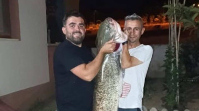 Bilecik'te Dev Yayın Balığını Tutuldu