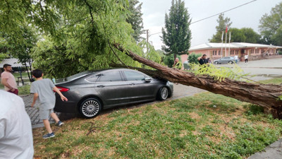 Çivril’de Fırtına Faciası: Ağaç Otomobilin Üzerine Devrildi