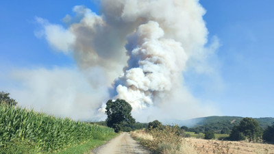 Bilecik'te Anız Yangını Ormana Sıçradı! Müdahale Sürüyor