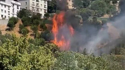 Kağıthane'de Ağaçlık Alanda Korkutan Yangın