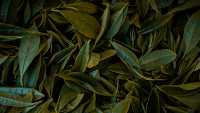 Çayın Bu Etkisini Bilmiyordunuz: Resmen Arıtma Cihazı Görevi Görüyor