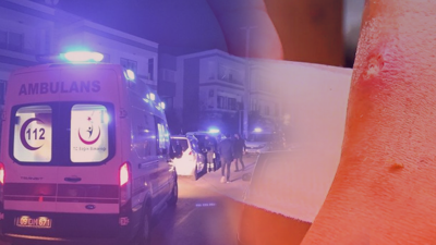 Türkiye’nin Yeni Kabusu, Vücudu Sessizce İstila Ediyor! Kova, Varil, Otomobil Lastiği… Her Köşe Üreme Yeri