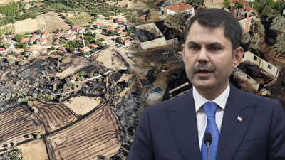 6 İlde Acı Tablo! Bakan Kurum Orman Yangınlarının Bilançosunu Açıkladı