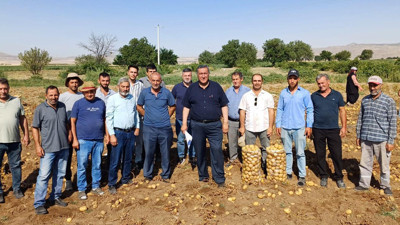 Patates Üreticisi Krizde! Ürünün Yarısı Tarlada Kalıyor