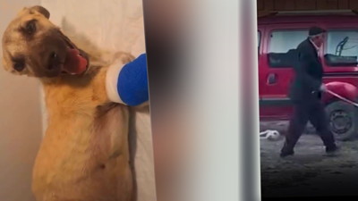 Kırık Dolu Vücuduyla Hayata Gülümsüyor! Sivas’ta Dakikalarca Darp Edilen 2,5 Aylık Mucize’den Sevindiren Haber
