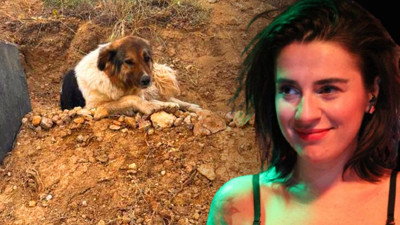 Sadakat Nöbeti Türkiye’yi Ağlatmıştı! Vefalı Dosta Ceylan Ertem’den Kucak Açan Destek