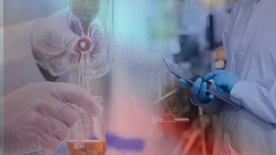 Sahte Gıda Mühendisleri Nerelerde Görev Yapıyor?