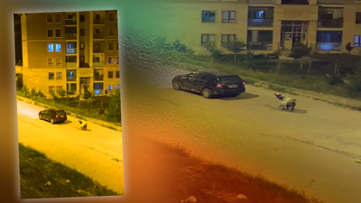 Kars’ta Eşeğe Kan Donduran İşkence! Sırtına Tonlarca Yük Koyup, Arabaya Bağlayarak Sürüklediler