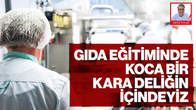 Gıda Eğitiminde Reform Şart: Yeni Müfredat ve Ulusal Akademi Modeli
