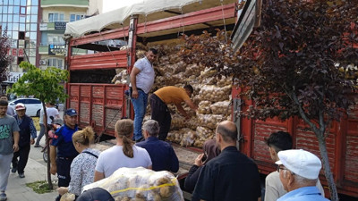 Tarlasında Hasat Etti: 20 Ton Ürünü Önüne Gelene Bedava Dağıttı