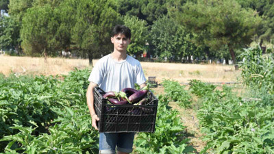 Bursa'da Hasat Zamanı Başladı
