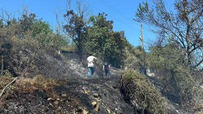 Samsun'da Korkutan Alevler: Ormana Sıçramadan Söndürüldü